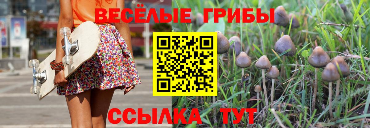 Галлюциногенные грибы мухоморы  Вход с VPN  Удомля 